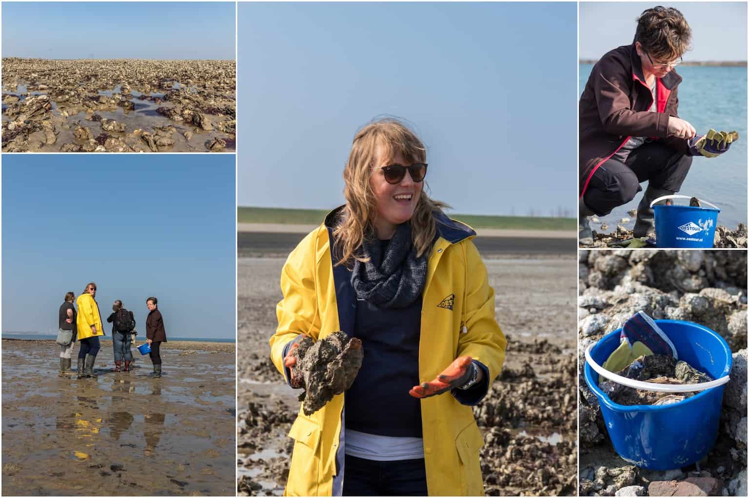 struikelen-over-de-oesters-tijdens-de-oestour-4
