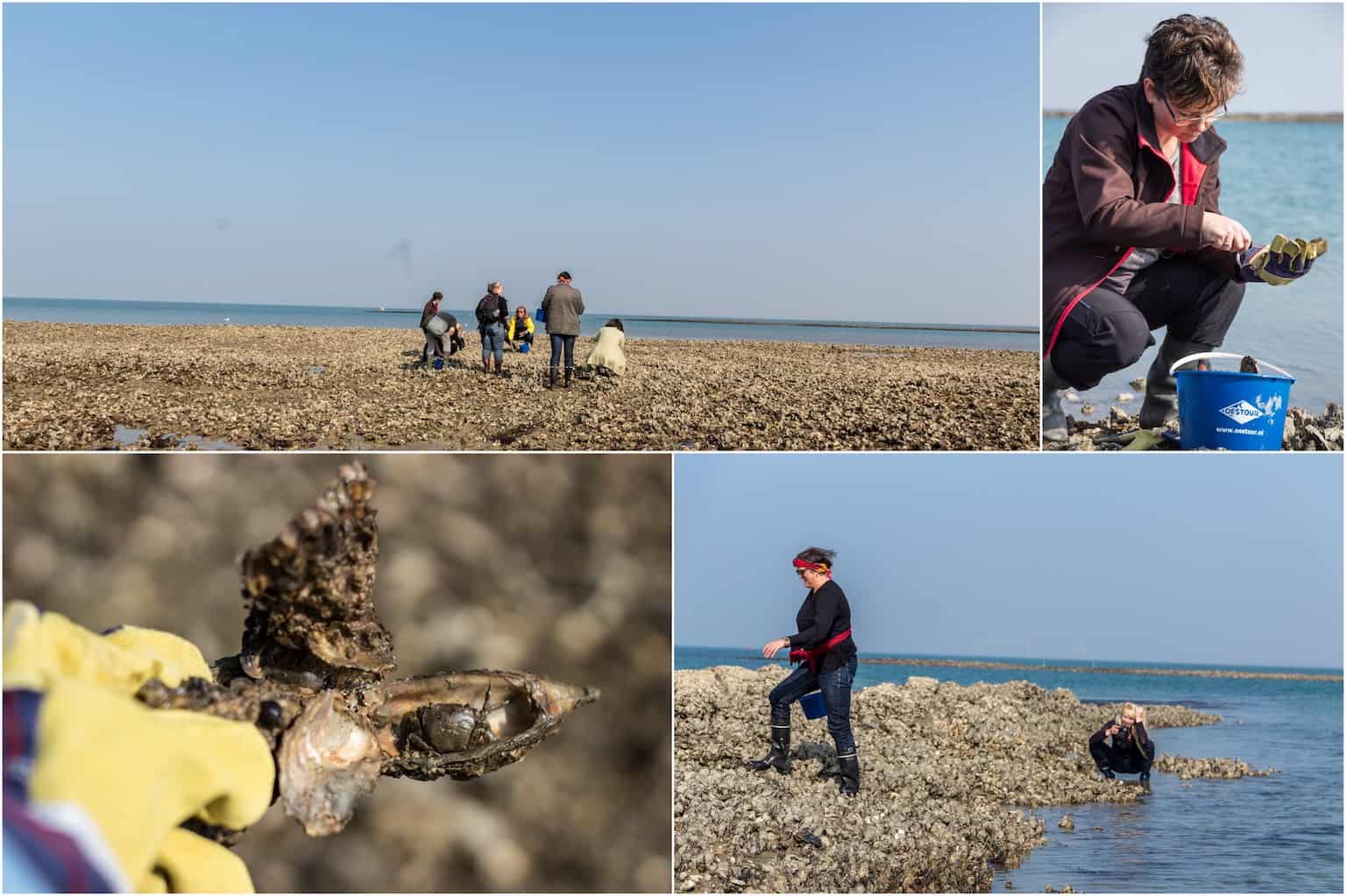 struikelen-over-de-oesters-tijdens-de-oestour-5