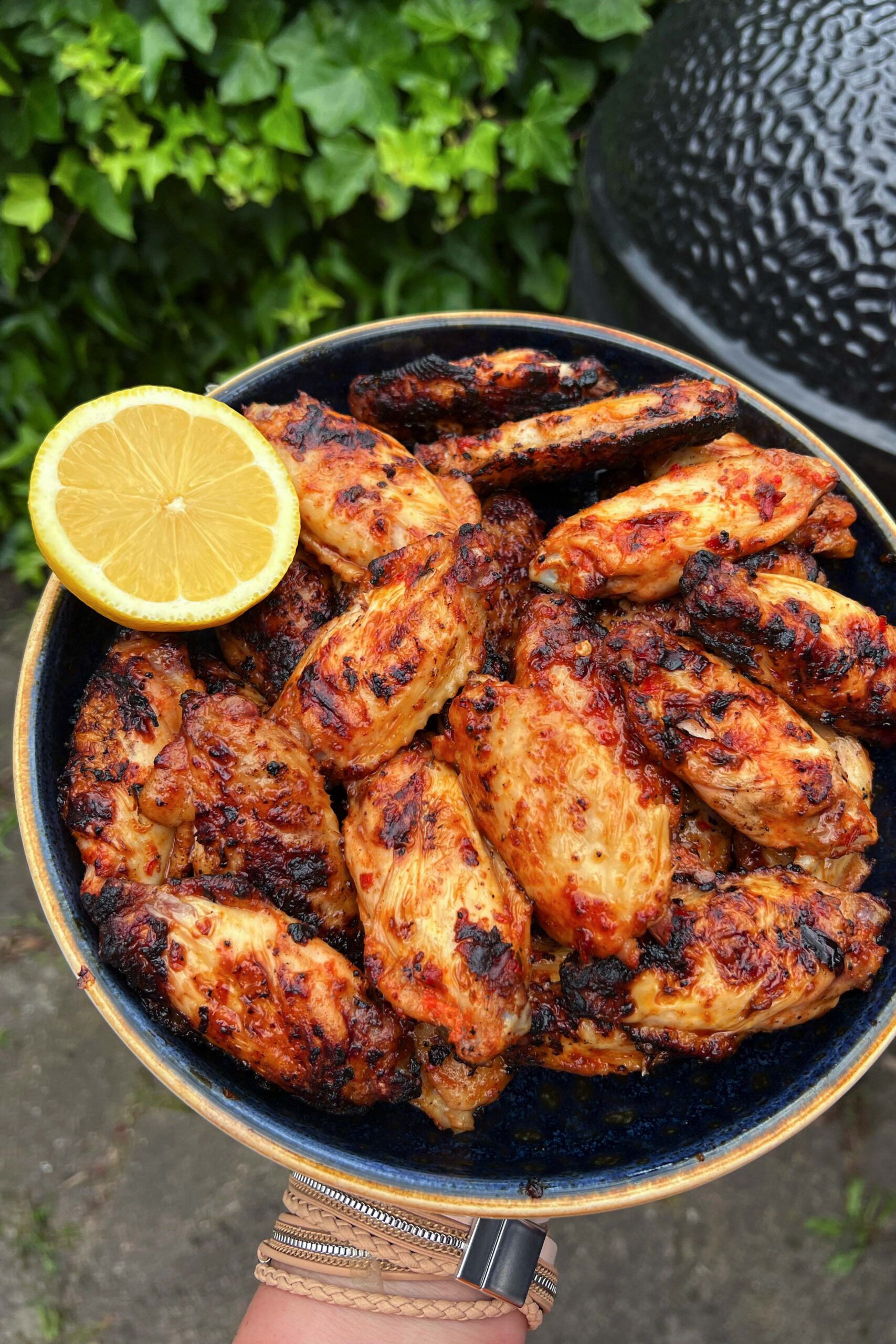 formulekip hongarije paprika kippenvleugels van sander 2