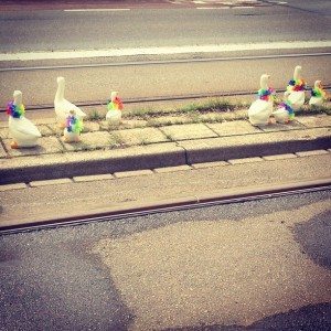 Eendjes op de Laan van Meerdervoort