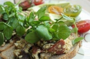 Francesca-Kookt_scrambled-eggs-met-shiitake-op-toast_1_uitgelicht-680x450