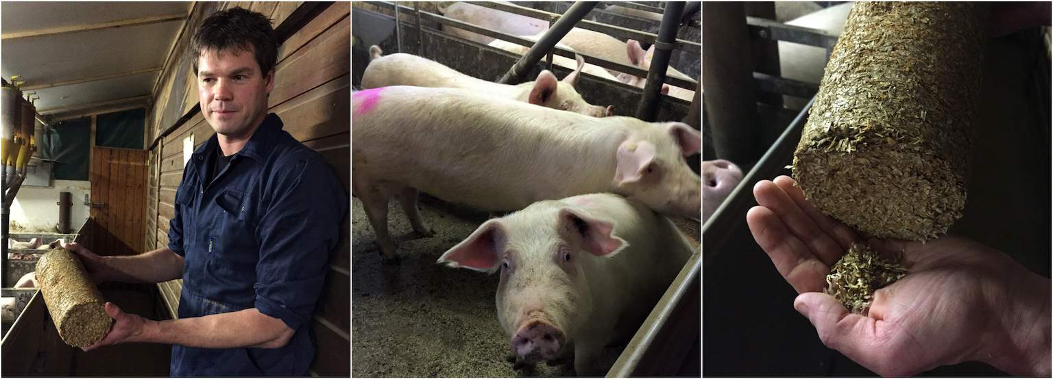 Op bezoek bij Boer Michel_Unox Rookworst boeren_4