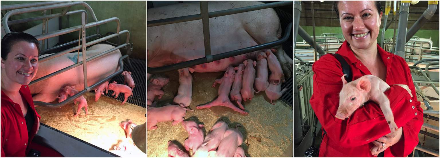 Op bezoek bij Boer Michel_Unox Rookworst boeren_8
