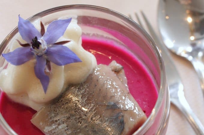 Panna-cotta-van-rode-biet-met-haring_1