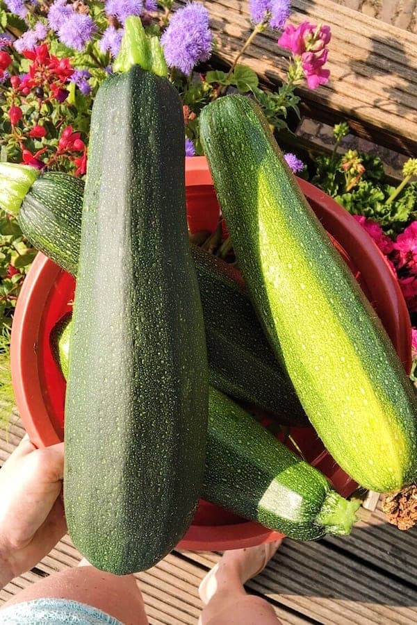 romige-courgette-soep-met-zalmsnippers-2